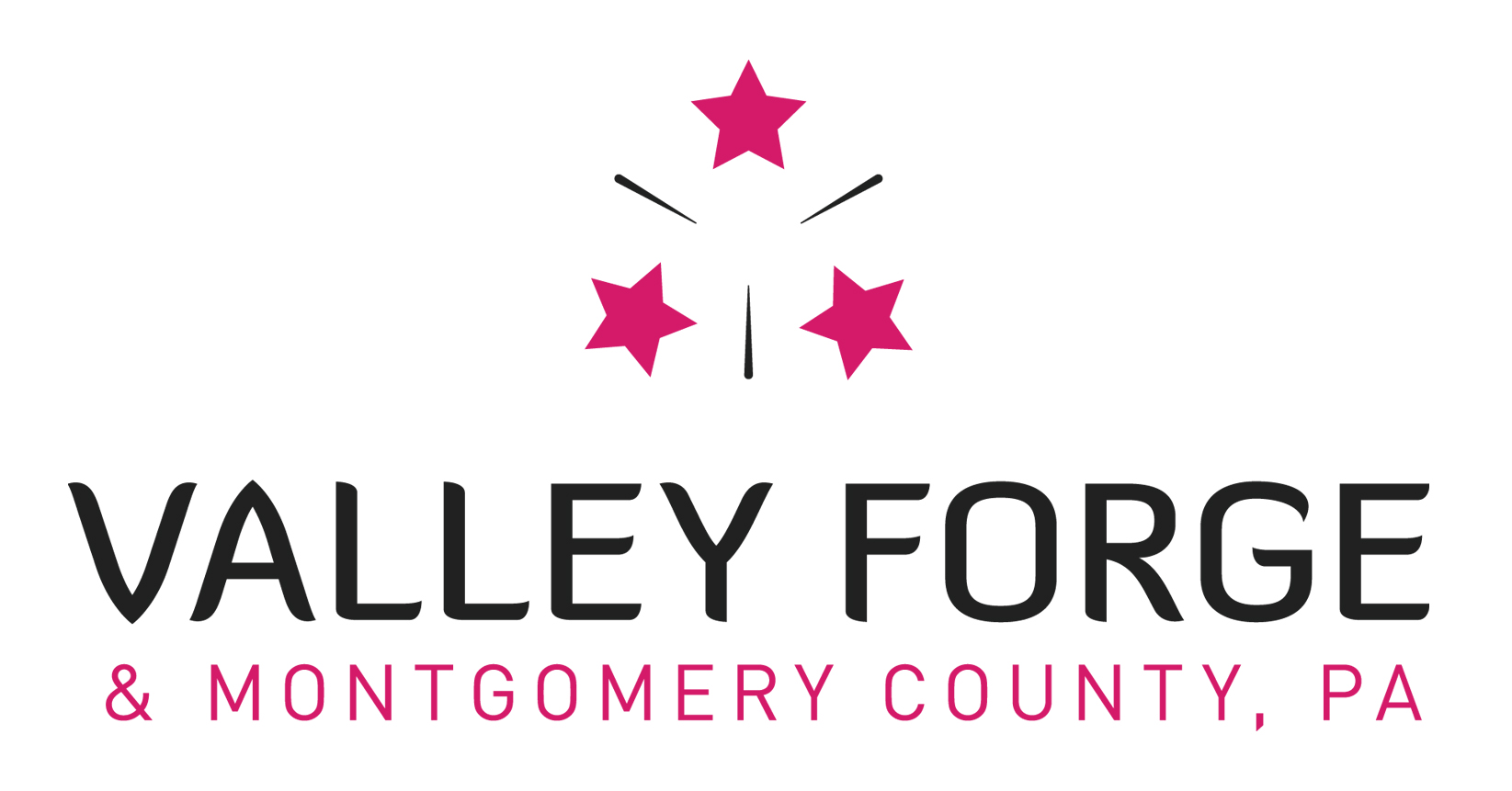 VF_Logo_Side